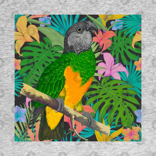 Senegal Parrot Tropical Design by shi-RLY designs